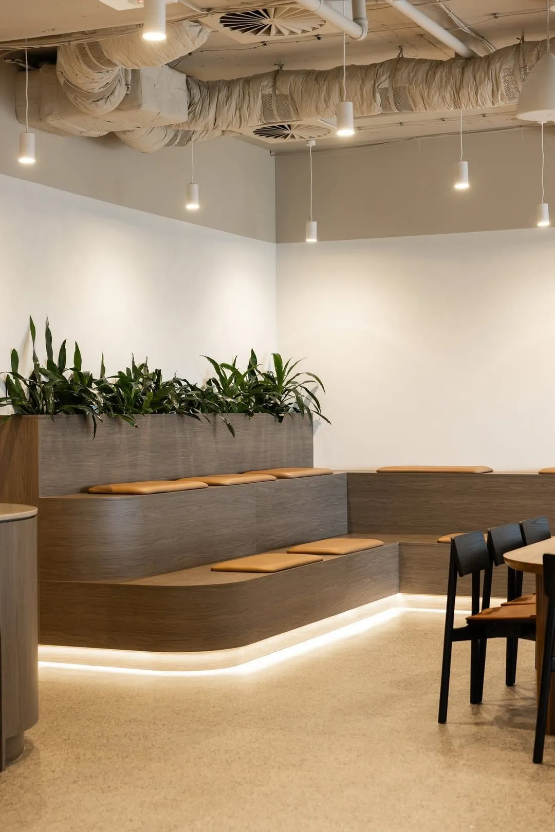 Commercial fitout with timber-lined ceiling and reception counter, Sydney